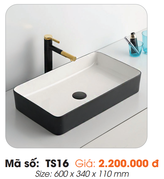 Tô Lavabo Sứ Roland TS16