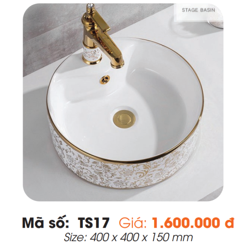 Tô Lavabo Sứ Roland TS17 - 3