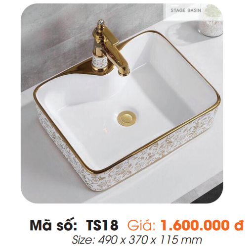 Tô Lavabo Sứ Roland TS18 - 3