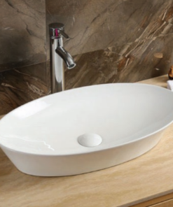 Tô Lavabo Sứ Roland TS19