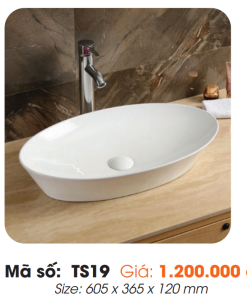 Tô Lavabo Sứ Roland TS19 - 8 Tô Lavabo Sứ Roland TS19 - 7
