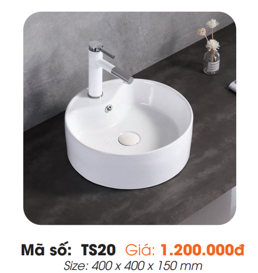 Tô Lavabo Sứ Roland TS20 - 3