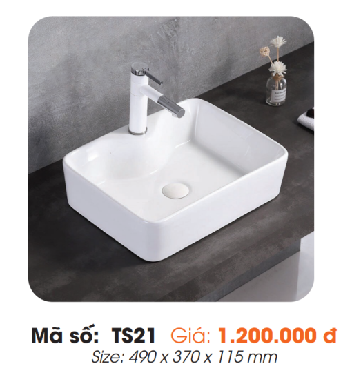 Tô Lavabo Sứ Roland TS21 - 3