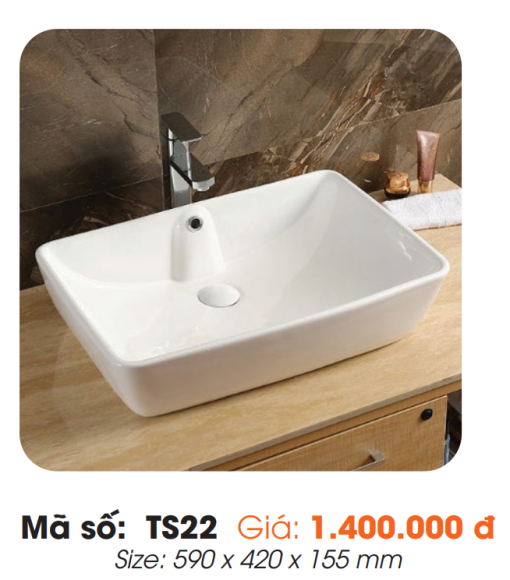 Tô Lavabo Sứ Roland TS22 - 3