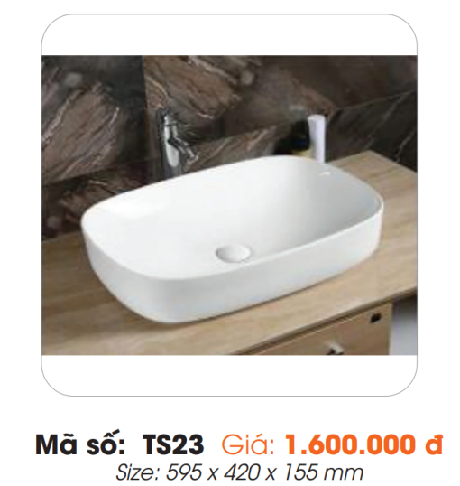 Tô Lavabo Sứ Roland TS23 - 1