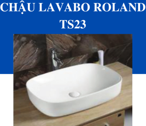 Tô Lavabo Sứ Roland TS23 - 3