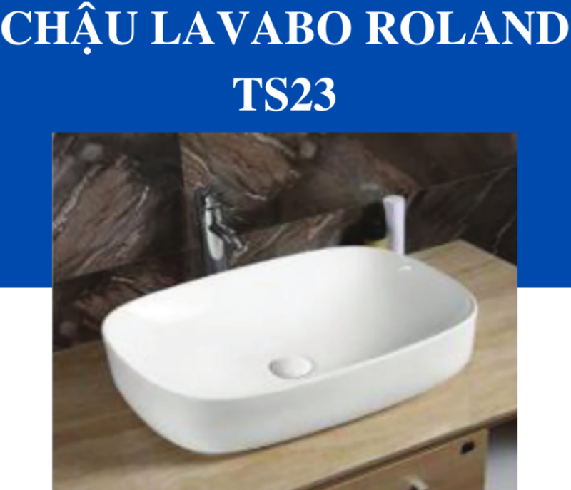 Tô Lavabo Sứ Roland TS23