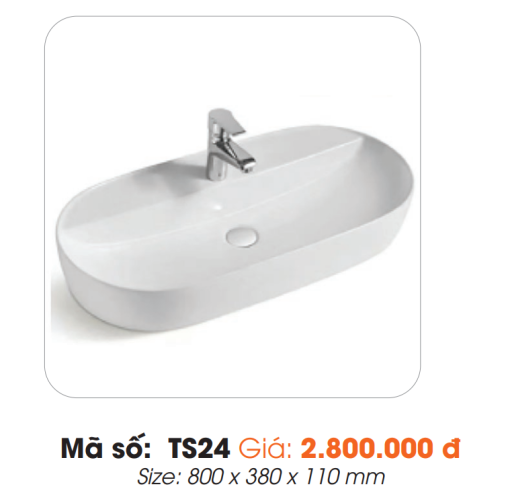 Tô Lavabo Sứ Roland TS24 - 3