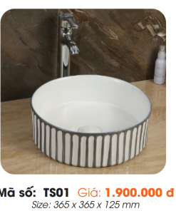 Tô Lavabo Sứ Roland TS01 - 8 Tô Lavabo Sứ Roland TS01 - 7