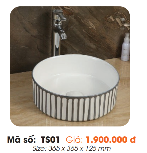 Tô Lavabo Sứ Roland TS01 - 3