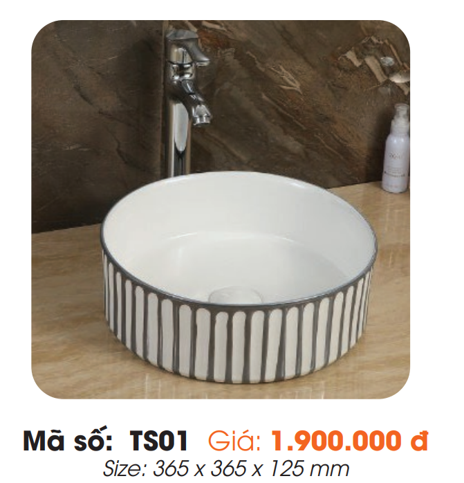 Tô Lavabo Sứ Roland TS01