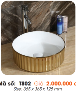 Tô Lavabo Sứ Roland TS02 - 7