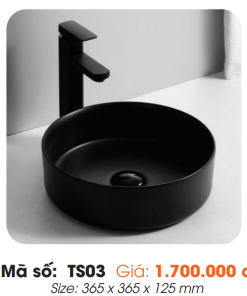 Tô Lavabo Sứ Roland TS03 - 7