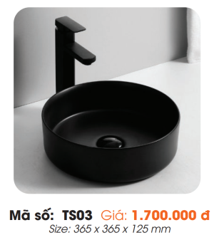 Tô Lavabo Sứ Roland TS03 - 7