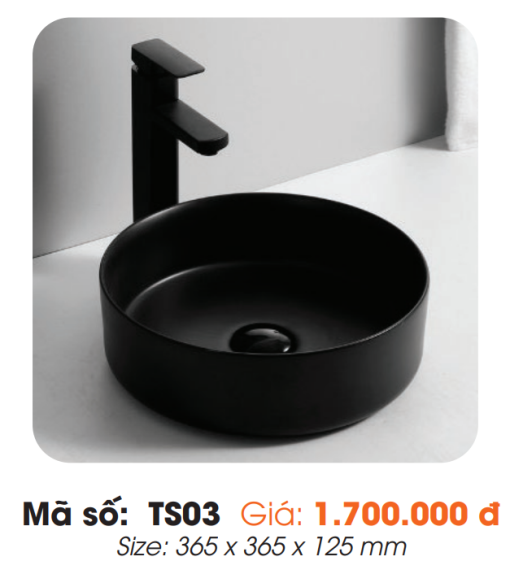 Tô Lavabo Sứ Roland TS03 - 3