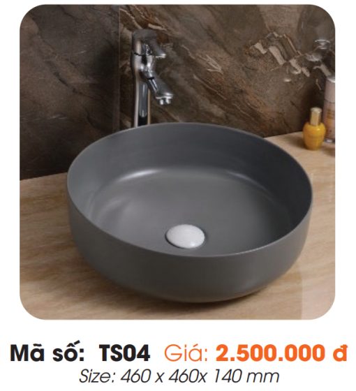 Tô Lavabo Sứ Roland TS04 - 3