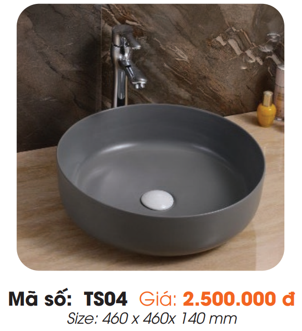 Tô Lavabo Sứ Roland TS04