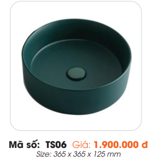 Tô Lavabo Sứ Roland TS06 - 7