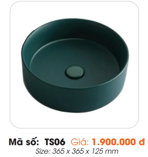 Tô Lavabo Sứ Roland TS06 - 3