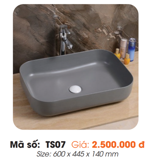 Tô Lavabo Sứ Roland TS07 - 3