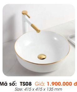 Tô Lavabo Sứ Roland TS08 - 8 Tô Lavabo Sứ Roland TS08 - 7