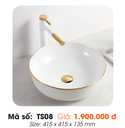 Tô Lavabo Sứ Roland TS08 - 3
