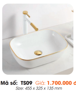 Tô Lavabo Sứ Roland TS09 - 8 Tô Lavabo Sứ Roland TS09 - 7