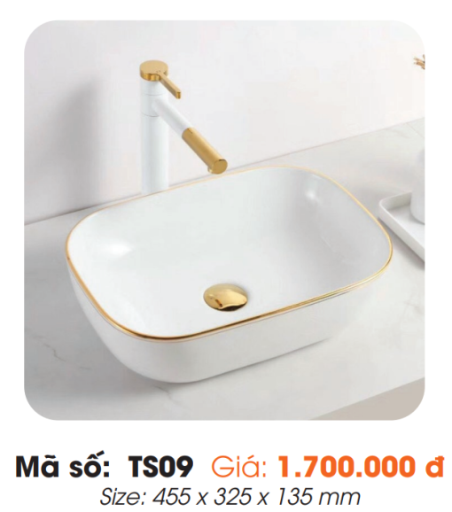 Tô Lavabo Sứ Roland TS09 - 3
