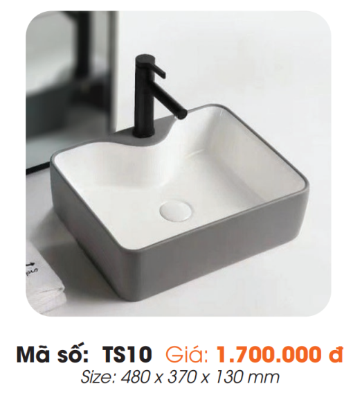 Tô Lavabo Sứ Roland TS10 - 3