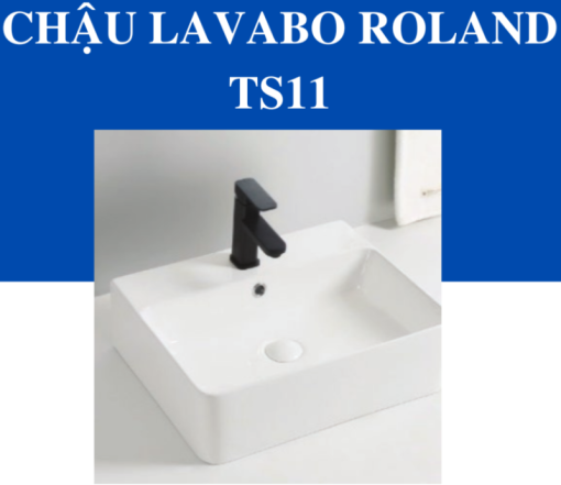 Tô Lavabo Sứ Roland TS11 - 5