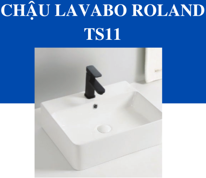 Tô Lavabo Sứ Roland TS11