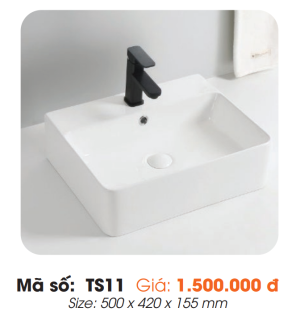 Tô Lavabo Sứ Roland TS11 - 7