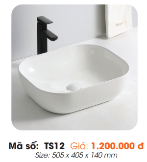 Tô Lavabo Sứ Roland TS12 - 7