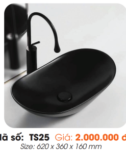 Tô Lavabo Sứ Roland TS25 - 8 Tô Lavabo Sứ Roland TS25 - 7