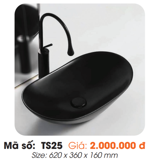 Tô Lavabo Sứ Roland TS25 - 3