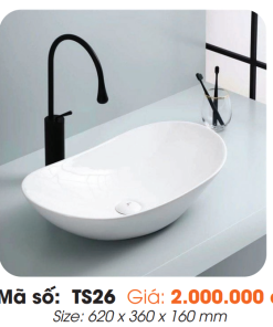 Tô Lavabo Sứ Roland TS26 - 7