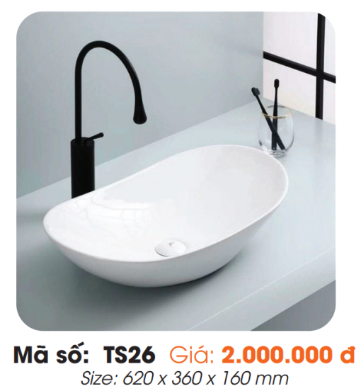 Tô Lavabo Sứ Roland TS26 - 3