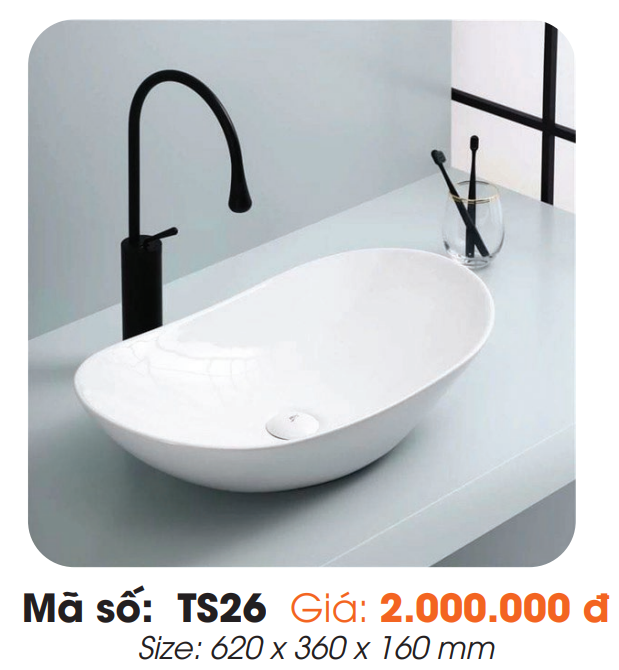 Tô Lavabo Sứ Roland TS26