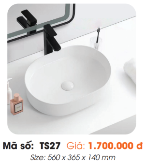 Tô Lavabo Sứ Roland TS27 - 7