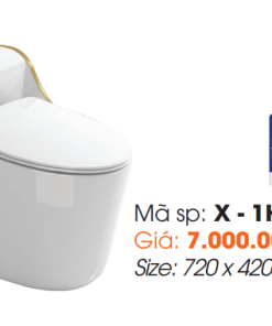 Bồn Cầu Một Khối Roland X1-H