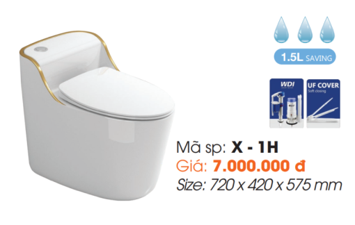 Bồn Cầu Một Khối Roland X1-H - 1
