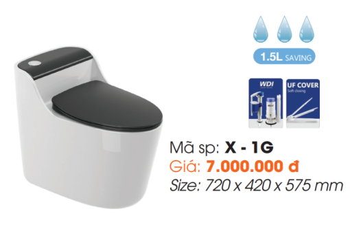 Bồn Cầu Một Khối Roland X1-G - 1
