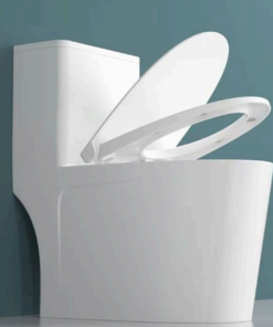 Bồn Cầu Một Khối Roland 3621 - 22 Bồn Cầu Một Khối Roland 3621 - 21