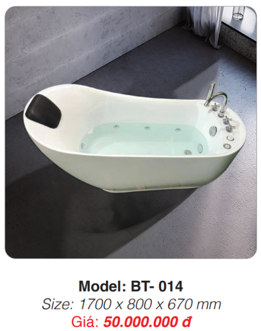 Bồn Tắm Massage Đặt Sàn Roland BT-014 - 3