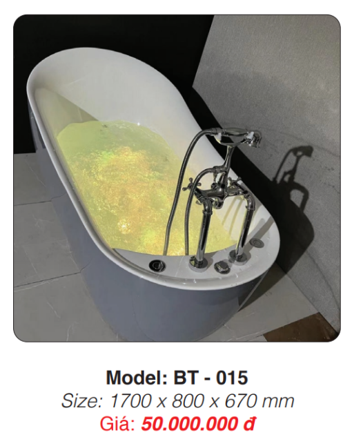 Bồn Tắm Massage Đặt Sàn Roland BT-015 - 3
