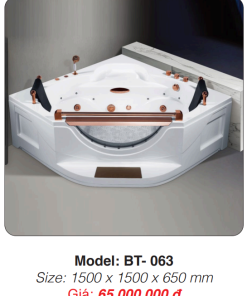 Bồn Tắm Massage Đặt Sàn Roland BT-063 - 9