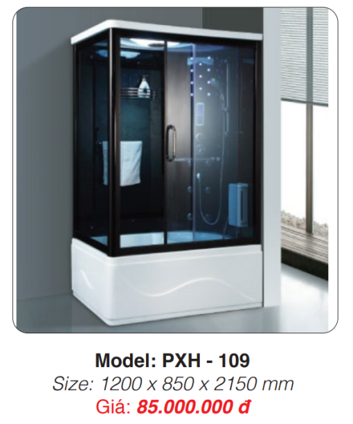 Phòng Xông Hơi Ướt Roland PXH-109 - 3