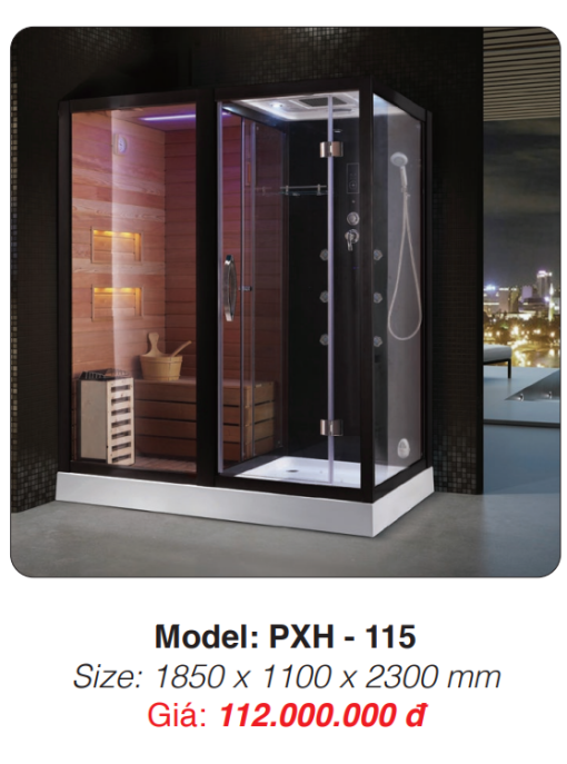 Phòng Xông Hơi Kết Hợp Khô Ướt Roland PXH-115 - 3