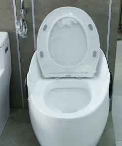 Bồn Cầu Một Khối Roland 136 - 17