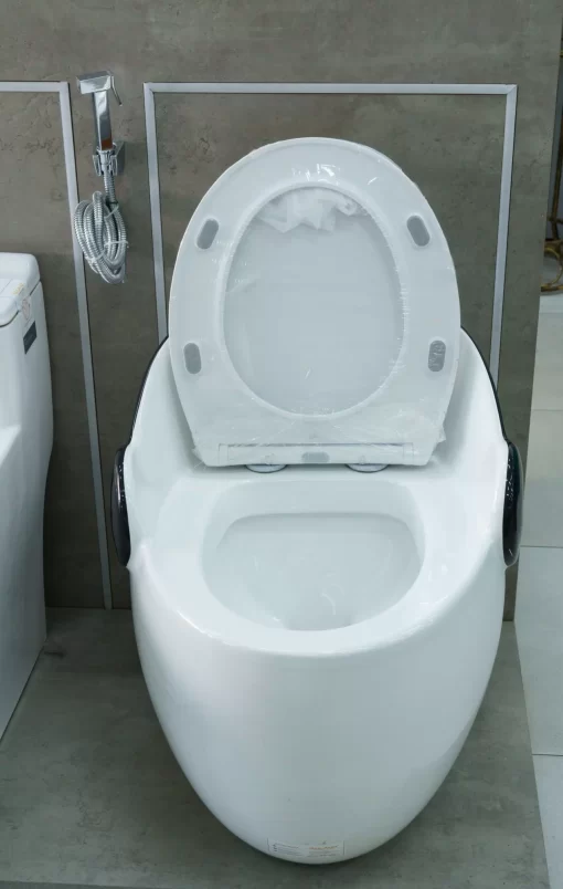 Bồn Cầu Một Khối Roland 136 - 9